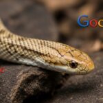 google snake